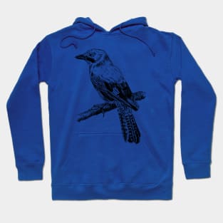 Jay bird print Hoodie